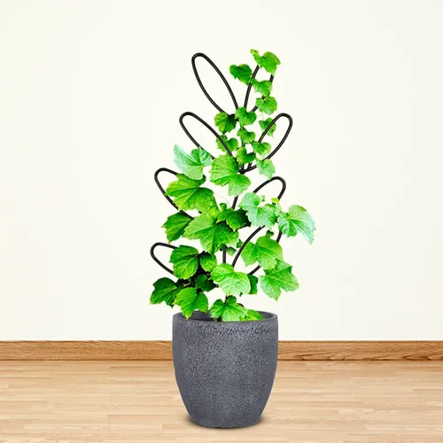 Miniatura 2 de Enrejado para plantas en maceta, pequeño enrejado de jardín para macetas de interior, macetas de bricolaje al aire libre, macetas de soporte