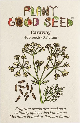 Miniatura 11 de Plant Good Seed Semillas de anís, paquete de 125 semillas tradicionales para plantar hierbas y flores, suministros de jardinería, flores silvestres