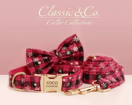 Miniatura 4 de Collar de perro personalizado con hebilla de metal grabada, nombre y número de teléfono personalizados, ajustable para razas pequeñas, medianas
