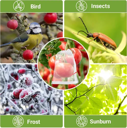 Miniatura 6 de Bolsas de cobertura de frutas contra pájaros, 25 bolsas de malla de protección de frutas de 4 x 6 pulgadas con cuerda, red para árboles frutales