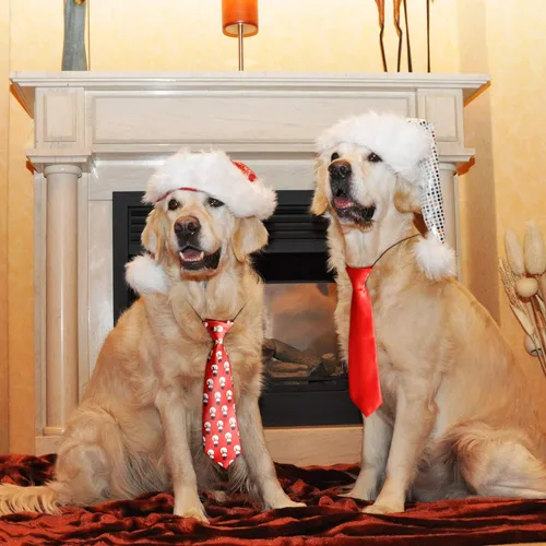 Miniatura 3 de Syhood 12 lazos grandes de Navidad para perros, corbatas grandes de Navidad para mascotas, árbol de Navidad, muñeco de nieve, copo de nieve