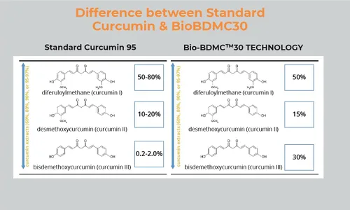 Miniatura 5 de Pro NovoCurcumin-BioBDMC50-Next Generation Curcumina altamente mejorada - 240 cápsulas