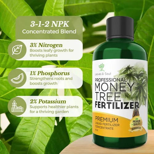 Miniatura 7 de Abono Líquido Profesional para Árbol del Dinero Concentrado 3-1-2 para Plantas y Flores Mezcla Multiusos y Suministros de Jardinería Botella