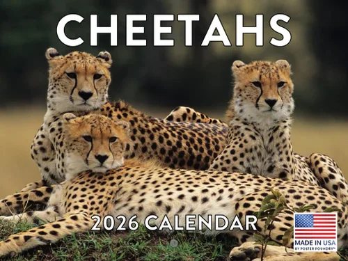Miniatura 118 de Calendario alpaca 2026, calendario mensual de pared de 12 meses Hecho en Estados Unidos.