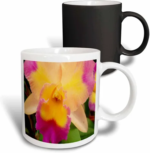 Miniatura 11 de 3dRose Florene Flores – Gorgeous Orquídea – Tazas, Negro/Blanco