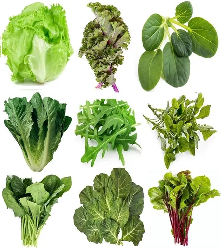 Colección de semillas de verduras, más de 2500 semillas, 9 variedades autóctonas, rúcula, remolacha, berro de montaña, Vates collard, col rusa roja,