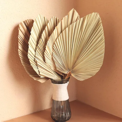 Hojas de palma secas, 5 piezas de 18 pulgadas, grandes lanza de palma recortada natural, hojas de palma tropicales, abanicos bohemios, decoración de