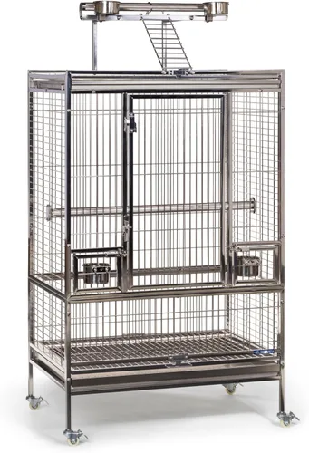 Prevue Pet Products Jaula grande de acero inoxidable para pájaros, jaula de metal resistente a la corrosión para pájaros con escalera de techo y