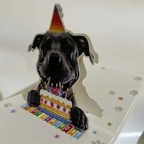 Miniatura 4 de Tarjeta de Cumpleaños 3D Pop-Up American Pit Bull Terrier Dog – Lindo perro American Pit Bull Terrier con celebración de pastel, saludo de feliz