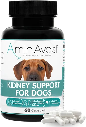AminAvast Suplemento de riñón para perros - Apoya la función renal natural - Promueve la salud y la vitalidad del envejecimiento de los riñones -