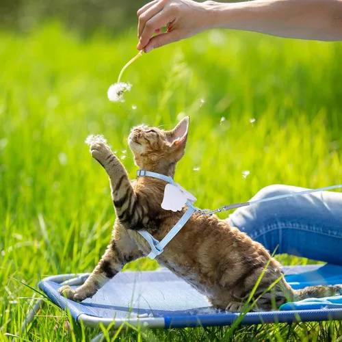 Miniatura 5 de TIESOME Juego de arnés y correa para gato, arnés ajustable degradado para gatito, arnés a prueba de escapes con correa para caminar al aire libre