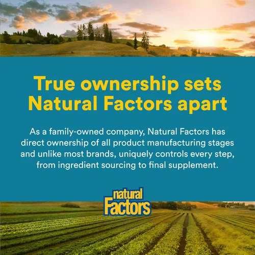 Miniatura 7 de Natural Factors, TravelBiotic, apoya la salud del colon y el sistema inmunológico, suplemento probiótico estable, 10 mil millones de UFC, vegano, 60