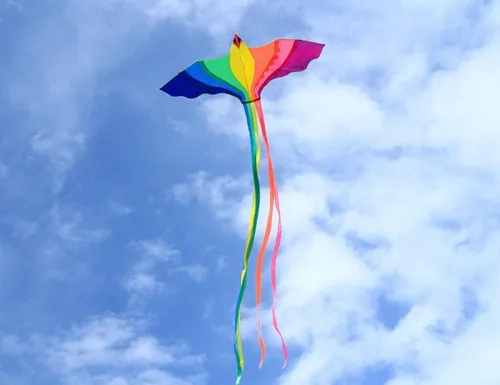 Miniatura 9 de HENGDA KITE Cometa Phoenix, para niños y adultos, fácil de volar, excelente diseño de tela y estructura, las imágenes son hermosas en alta