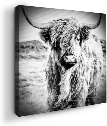 Miniatura 67 de Mavis Print - Lienzo decorativo para pared con diseño de conejo/conejo, 36 x 36 pulgadas, decoración de pared de animales impresos en HD y marco