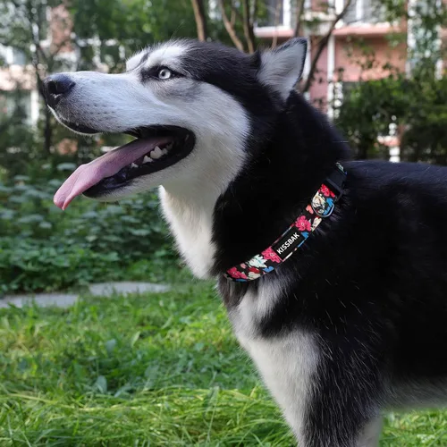 Miniatura 3 de Collar para perros medianos - Diseño especial, lindo collar de perro para niña, suave, ajustable, floral, para cachorro, collar para mascotas