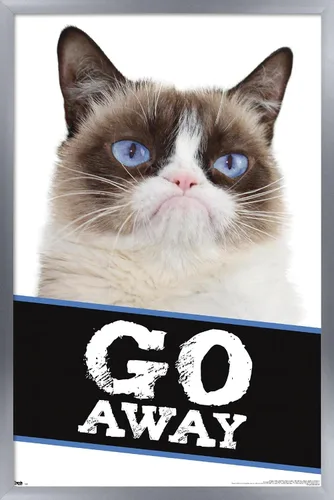 Miniatura 10 de Trends International Grumpy Cat - Póster de pared con texto en inglés «Go Away», 14.725 x 22.375 pulgadas, versión enmarcada de madera de granero