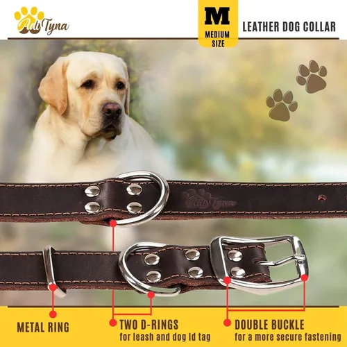 Miniatura 5 de ADITYNA Collar de Cuero Resistente para Perros Medianos - Collar Suave y Fuerte para Caminar, Entrenar, Senderismo y Correr