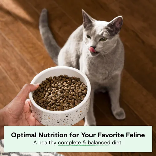 Miniatura 2 de Open Farm, Alimento seco para gatos sin granos, croquetas altas en proteínas para una dieta completa y equilibrada, frutas y verduras sin OGM