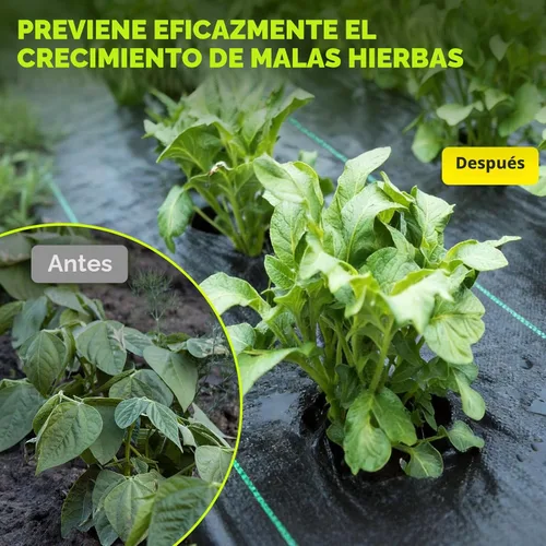 Miniatura 4 de Tela de barrera de malezas de 4 pies x 300 pies, tela geotextil tejida resistente de 3.2 onzas, cubierta de suelo para tapete de jardinería