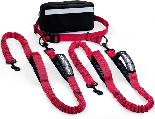 Miniatura 16 de Correa de perro manos libres con cinturón – Bungee sin tirones, asas acolchadas dobles y bolsa con cremallera para correr, caminar y entrenar