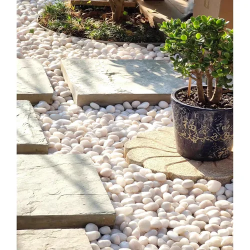 Miniatura 4 de FANTIAN Rocas blancas de río de 40 libras para paisajismo, guijarros pulidos de 1-2 pulgadas para plantas de interior, piedras blancas decorativas