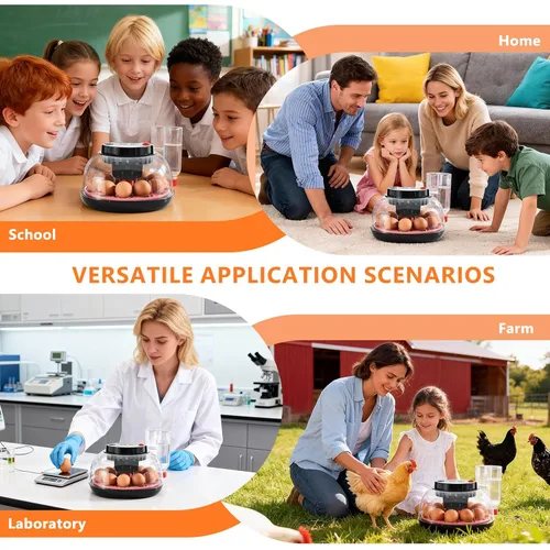 Miniatura 5 de Incubadoras para incubar huevos - Capacidad de 12 huevos, incubadora de huevos con giro automático de huevos y control de temperatura, incubadora