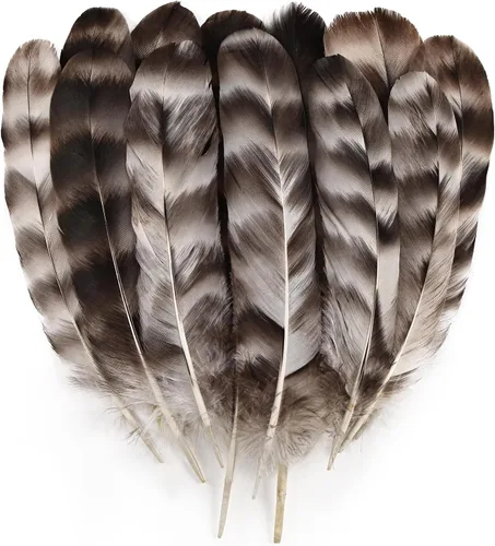 Miniatura 11 de Daieeparty 12 plumas de faisán a granel, plumas manchadas naturales para manualidades, decoración del hogar