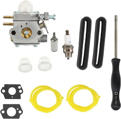 Carburador para Bolens MTD 400 180MPH soplador de hojas H25B 41AS79MY735 Kit de filtro de aire de carbohidratos