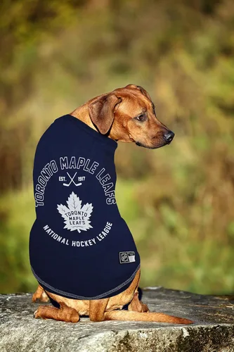 Miniatura 3 de Camiseta NHL de Toronto Maple Leafs para perros y gatos, X-Small. - ¿Eres un fanático del hockey? ¡Haz que tu mascota también sea fanática de la NHL!