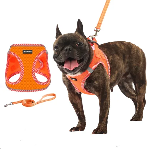 Miniatura 8 de Rttochfy Arnés para perro pequeño, arnés suave y reflectante para cachorro, arnés y correa para perros de tamaño pequeño, entrenamiento y caminar