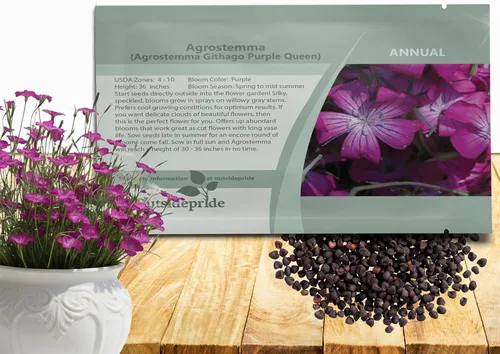 Outsidepride Agrostemma - Semillas de flores moradas – 1000 piezas anuales, corncockle, variedad reliquia, fácil de cultivar, flores silvestres