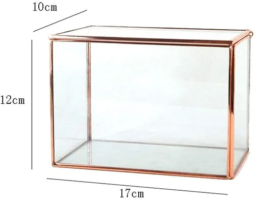 Miniatura 5 de erddcbb Caja rectangular para joyas en el pecho de cristal, estilo europeo, joyería a la moda, caja de baratijas