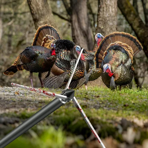 Miniatura 6 de 6 Pack Turkey Hunting Broadheads 100/125 Grain 420 Stainless Steel 3 Fixed Blade Broadhead 4" Cutting Dia Archery Arrow Tip for Compound Bow and