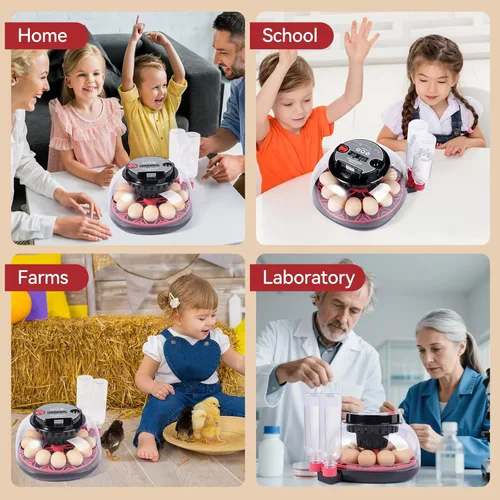 Miniatura 8 de Incubadoras de 12 huevos para incubar huevos, incubadora de huevos de pollo con giro automático de huevos y control de temperatura y humedad, tapa
