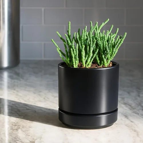Miniatura 5 de D'vine Dev Juego de 4 macetas pequeñas de cerámica, maceta para suculentas de 3.5 pulgadas para plantas con orificio de drenaje y platillo