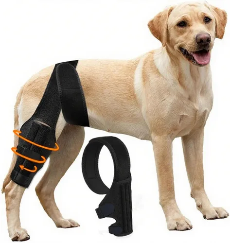 Miniatura 9 de Rodillera para perro para pierna trasera desgarrada, rodillera ajustable para perro, ayuda a aliviar desgarros del ligamento cruzado anterior