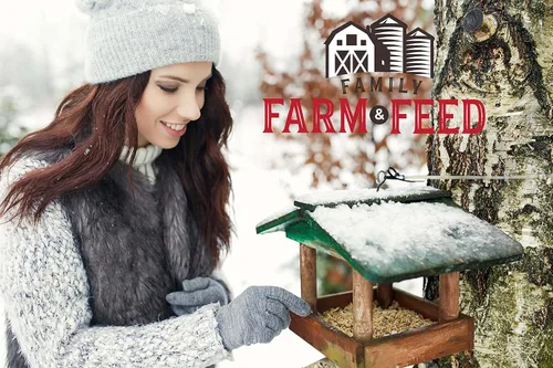 Miniatura 4 de Cuatro estaciones Mezcla de campo Alimento clásico para aves silvestres Pájaro cantor del patio trasero 4 libras Mezcla (Country Mix)