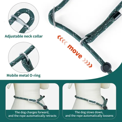Miniatura 2 de Correa antideslizante para perro, correa y collar de entrenamiento resistente sin tirones con antienredos, mango acolchado e hilo reflectante