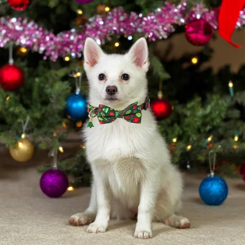 Miniatura 3 de ADOGGYGO Collares de Navidad para Perros con Corbatín, Collar Ajustable de Navidad para Mascotas con Corbatín Rojo Verde, Collares de Navidad