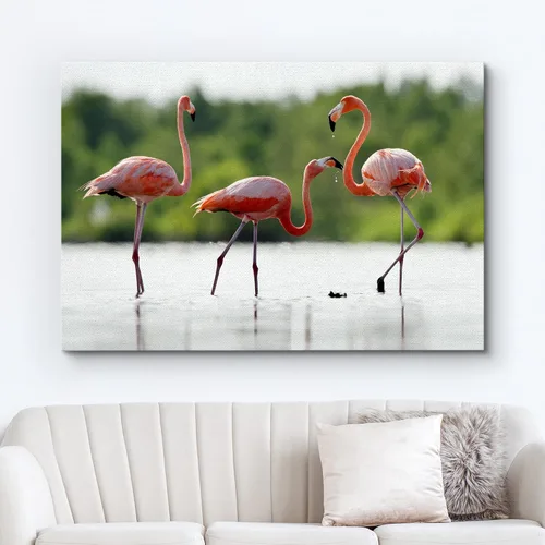 Miniatura 2 de wall26 Lienzo impreso para pared, trío de flamencos caribeños rosados en estanque, animales, fotografía, arte moderno, tropical, escénico