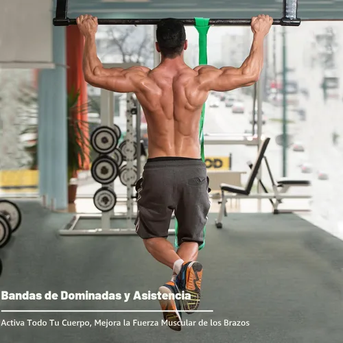 Miniatura 3 de Bandas de resistencia, bandas para entrenamiento con asistencia de tracción - bandas de entrenamiento, bandas de ejercicio, conjunto de bandas