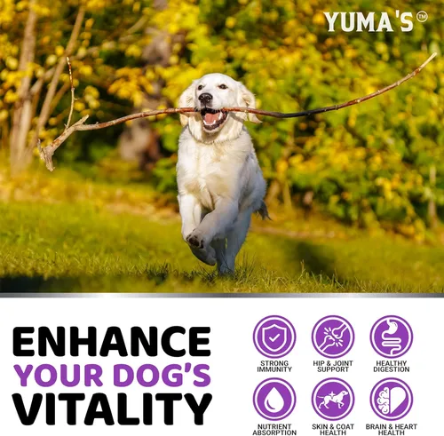 Miniatura 4 de Vitaminas y suplementos para perros – 170 golosinas – Multivitamínico masticable con glucosamina – Multivitamínico para perros mayores y cachorros