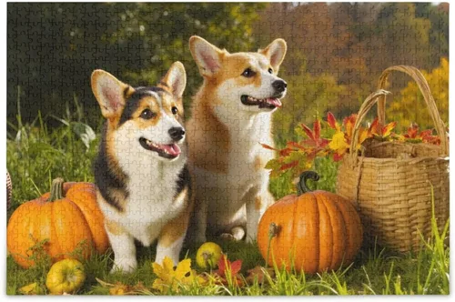 Rompecabezas de perro Welsh Corgi Pembroke de 500 piezas para adolescentes y adultos, 20.5 x 14.9 pulgadas