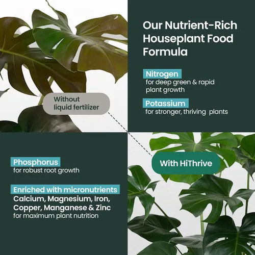 Miniatura 4 de Fertilizante para plantas de interior de 16 onzas, alimento multiusos para plantas de interior, hace más de 87 galones, alimento vegetal