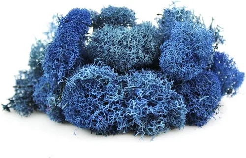 Miniatura 2 de NW Wholesaler Musgo de reno preservado de color azul brillante, 2 onzas, para interiores y exteriores, para plantas en maceta, terrarios, jardines