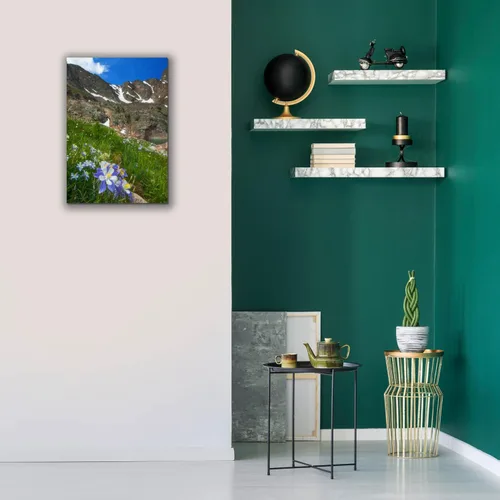 Miniatura 6 de Epic Graffiti 'Alpine Columbine - Parque Nacional de las Montañas Rocosas' por Darren White, arte de pared giclée, 18 x 26 pulgadas