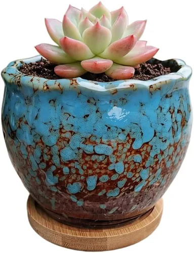 Miniatura 26 de Bonita maceta circular de cerámica para decoración del hogar y jardín, suculentas, cactus, maceta no incluida (azul, 3.19 pulgadas)