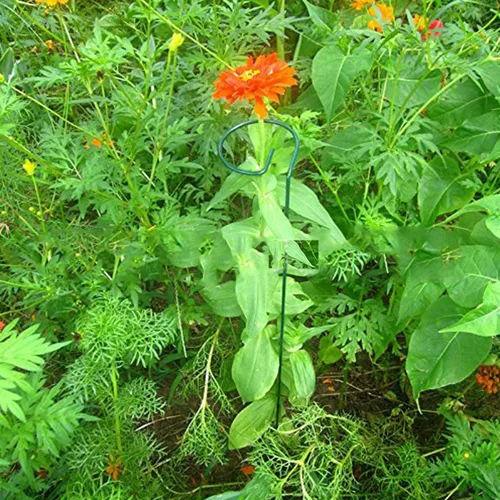 Miniatura 3 de Soporte de estaca para plantas, paquete de 6, anillos de soporte de jaula de plantas de un solo tallo para jardín, estacas de soporte para plantas