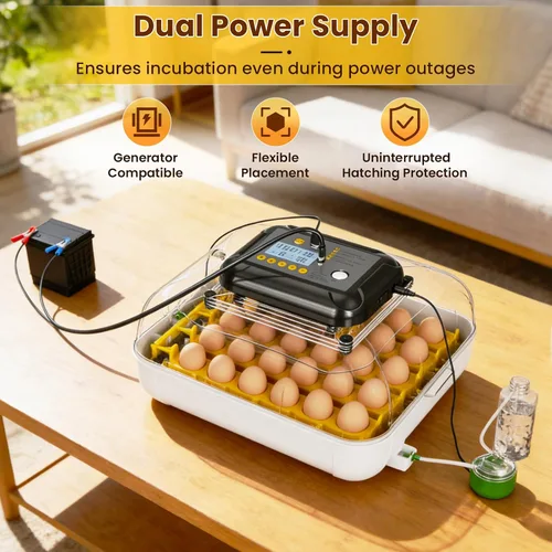 Miniatura 4 de Incubadoras para incubar huevos, incubadora de huevos de gallina con giro automático de huevos, fuente de alimentación doble, vela de huevos
