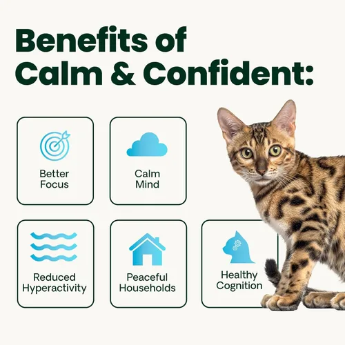 Miniatura 5 de VetriScience Masticables calmados y seguros, suplemento calmante y de ansiedad para gatos, reduce el estrés y el miedo, ideal para viajes